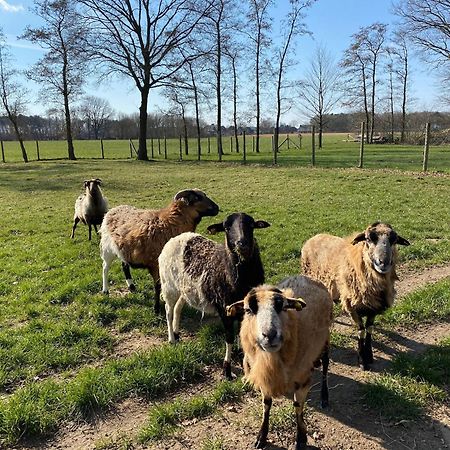 Ferienhof Westermann Waldblick Lahden ภายนอก รูปภาพ
