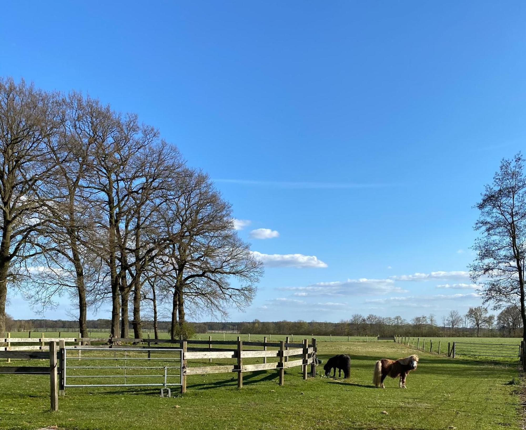 Ferienhof Westermann Waldblick Lahden ภายนอก รูปภาพ